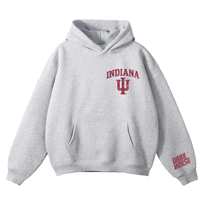 IU DISTRESSED HOODIE