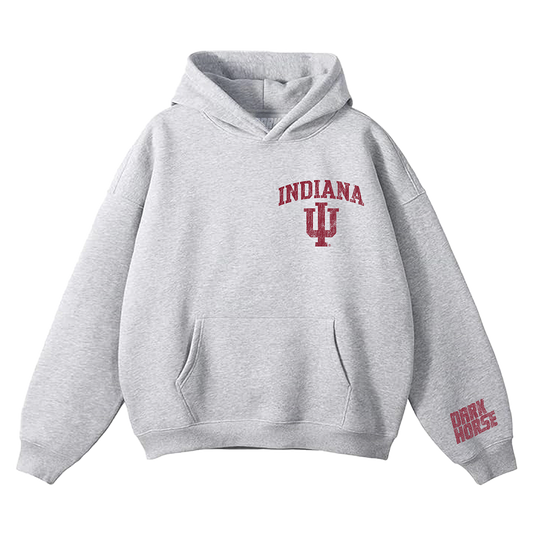 IU DISTRESSED HOODIE